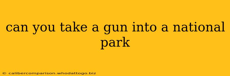 can you take a gun into a national park