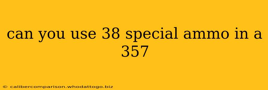 can you use 38 special ammo in a 357