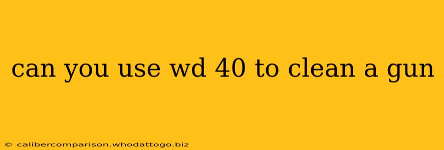 can you use wd 40 to clean a gun