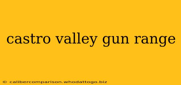 castro valley gun range