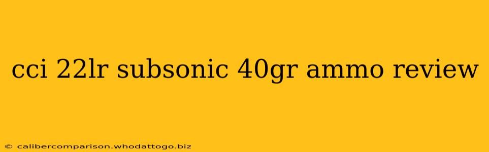 cci 22lr subsonic 40gr ammo review