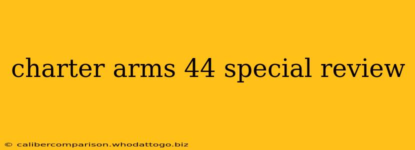 charter arms 44 special review