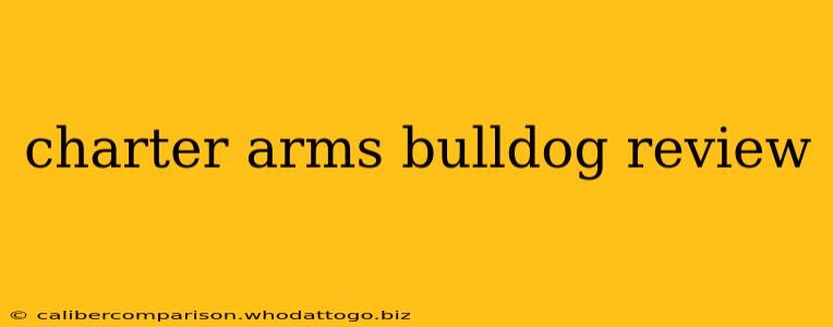 charter arms bulldog review