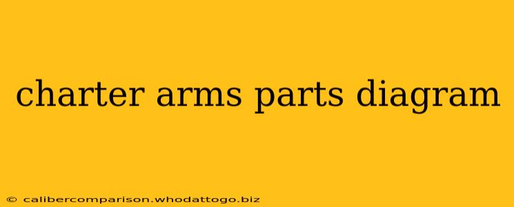 charter arms parts diagram