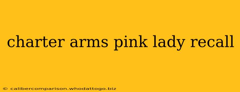 charter arms pink lady recall