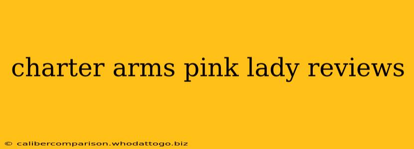 charter arms pink lady reviews