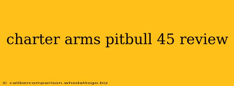 charter arms pitbull 45 review