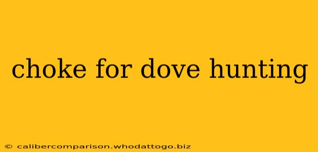 choke for dove hunting