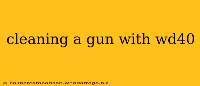 cleaning a gun with wd40