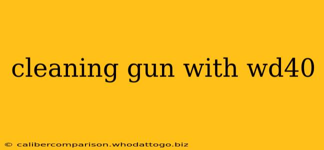 cleaning gun with wd40