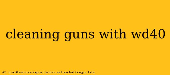 cleaning guns with wd40