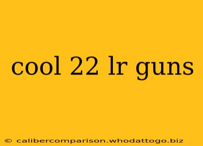 cool 22 lr guns