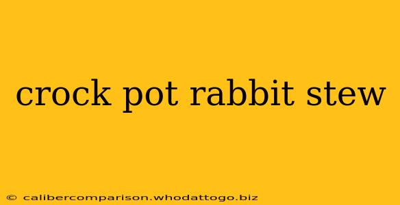 crock pot rabbit stew