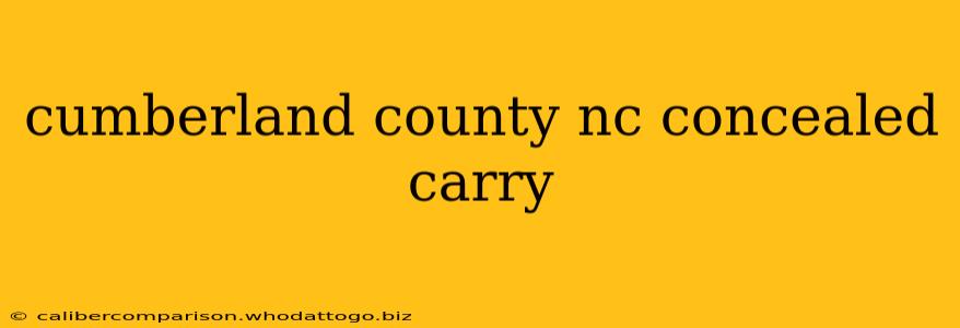 cumberland county nc concealed carry