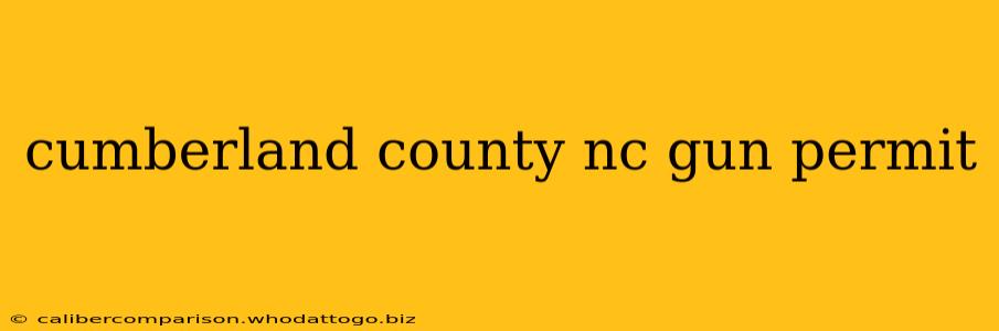 cumberland county nc gun permit