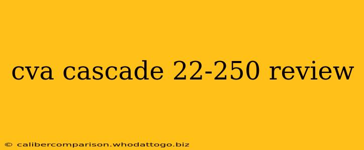 cva cascade 22-250 review