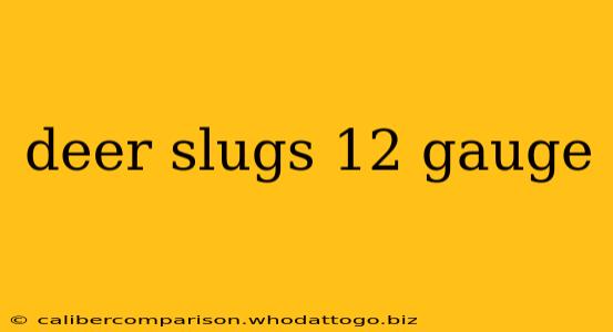 deer slugs 12 gauge