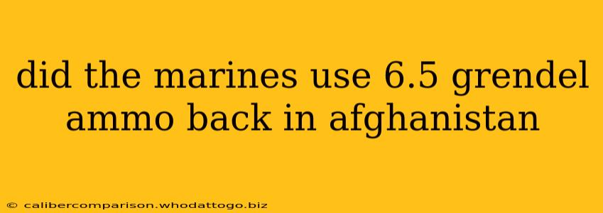 did the marines use 6.5 grendel ammo back in afghanistan