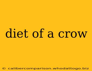 diet of a crow