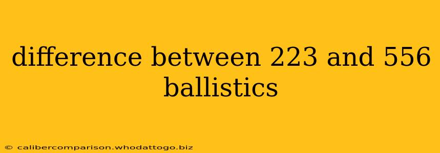 difference between 223 and 556 ballistics