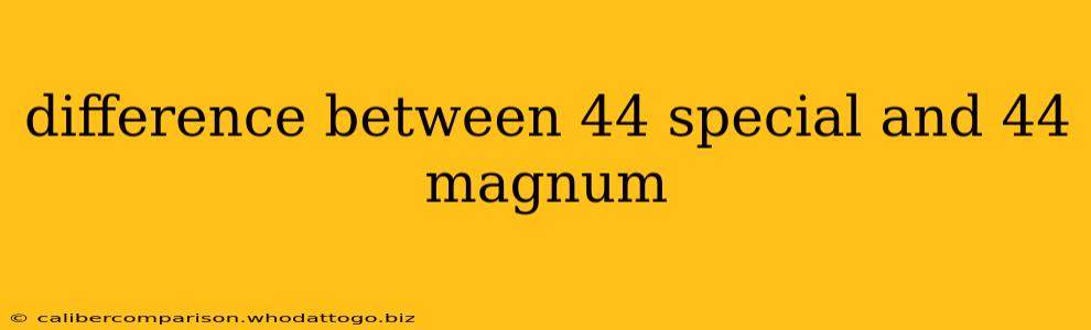 difference between 44 special and 44 magnum