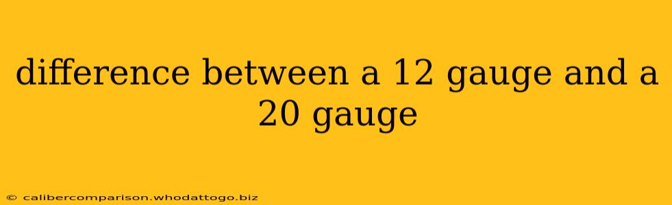 difference between a 12 gauge and a 20 gauge