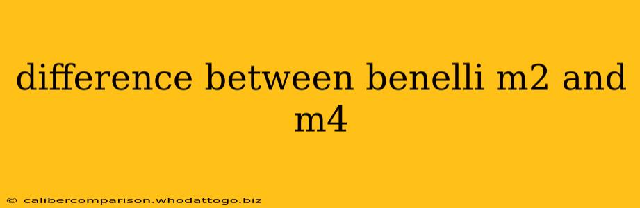 difference between benelli m2 and m4