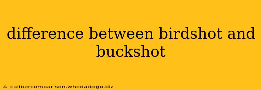 difference between birdshot and buckshot