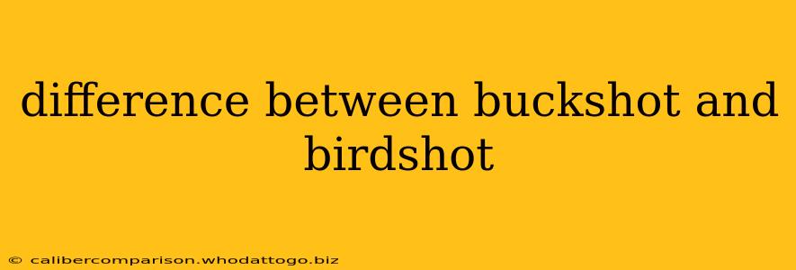 difference between buckshot and birdshot