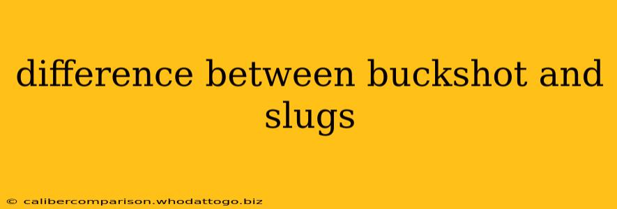 difference between buckshot and slugs