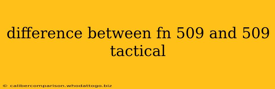 difference between fn 509 and 509 tactical