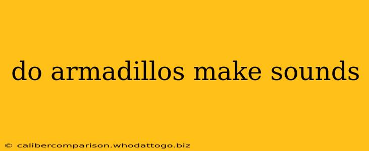 do armadillos make sounds