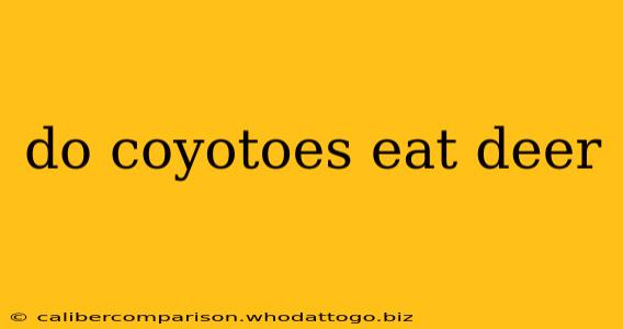 do coyotoes eat deer