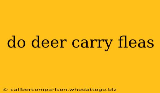 do deer carry fleas