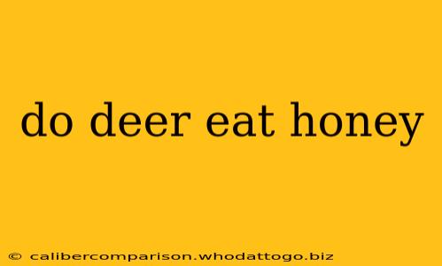 do deer eat honey