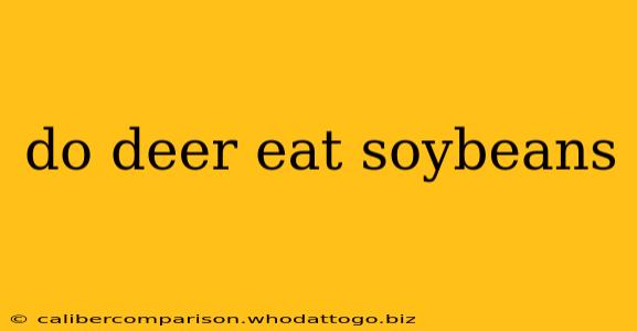 do deer eat soybeans