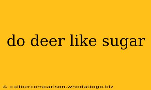 do deer like sugar