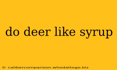 do deer like syrup