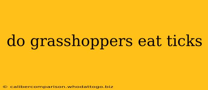 do grasshoppers eat ticks