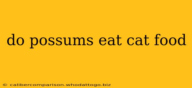 do possums eat cat food