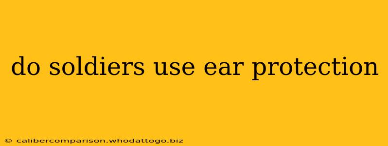 do soldiers use ear protection