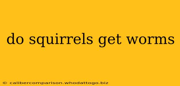 do squirrels get worms