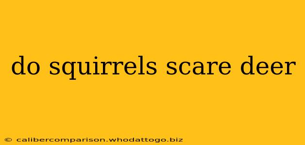 do squirrels scare deer