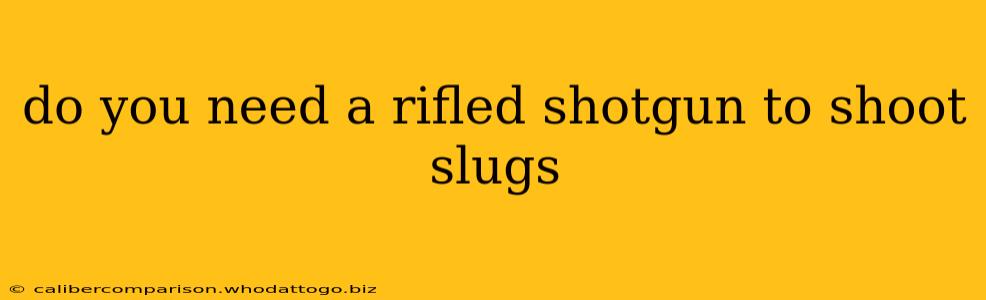 do you need a rifled shotgun to shoot slugs