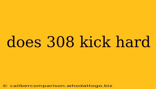 does 308 kick hard