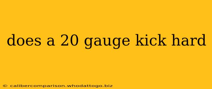 does a 20 gauge kick hard