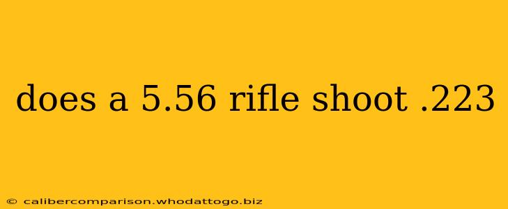 does a 5.56 rifle shoot .223