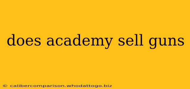 does academy sell guns