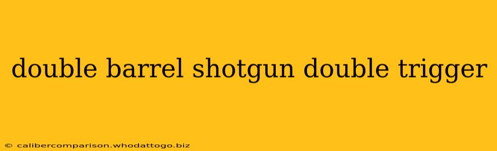 double barrel shotgun double trigger