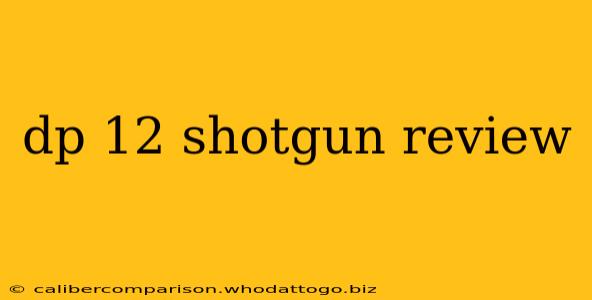 dp 12 shotgun review